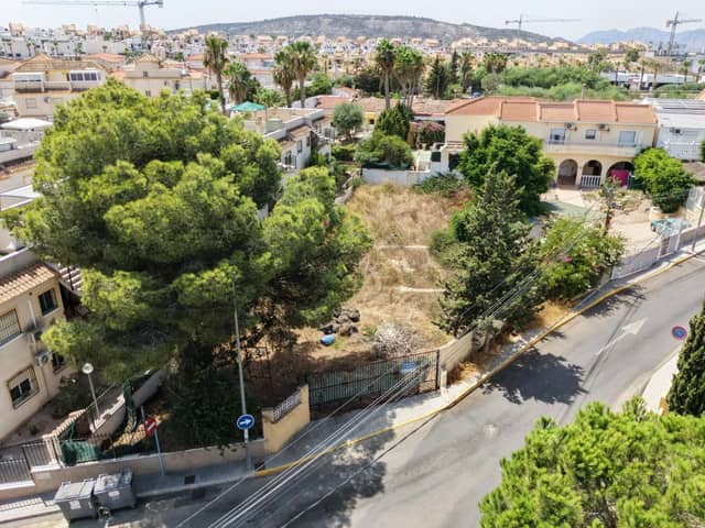Urban plot in Algorfa in Algorfa