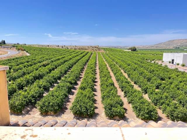 2-bedroom apartment in Algorfa in Algorfa